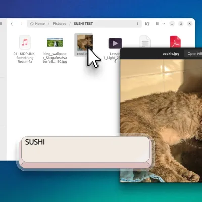 GNOME Sushi spacebar preview fix coming to Ubuntu 26.04