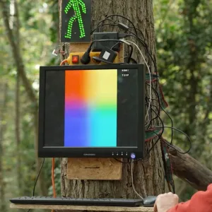 Lenteur, débrouille et résistance : voici l’Internet des sans-Internet