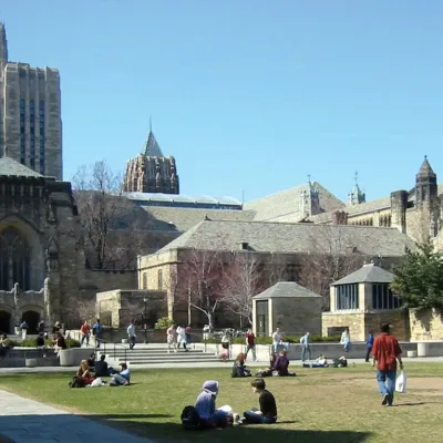 IA et Open Source : la fin du pillage de code grâce au copyleft de Yale ?