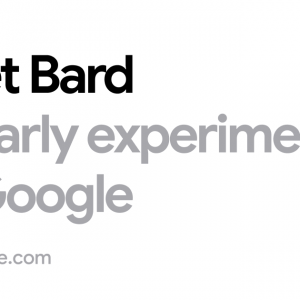 ‎Bard - Chat Based AI Tool from Google, Powered by PaLM 2