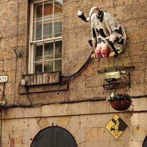 Développeurs web indépendants : bien fixer, annoncer et négocier vos tarifs (guide complet)