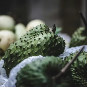 Strasbourg prépare son territoire à la résilience alimentaire