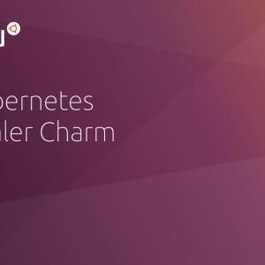 The Kubernetes Autoscaler Charm