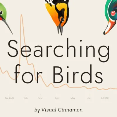 Searching for Birds