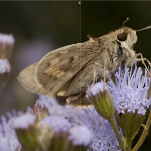 Darktable 5.4 : l’alternative gratuite à Lightroom que vous allez adorer en 2026