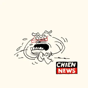 Chien News monte la garde frontière