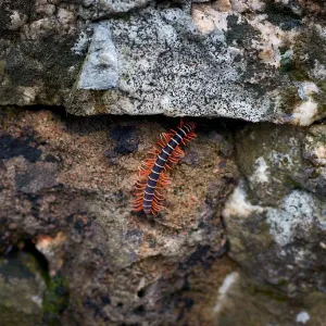 How crawlers impact the operations of the Wikimedia projects