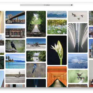 Help us invent CSS Grid Level 3, aka “Masonry” layout
