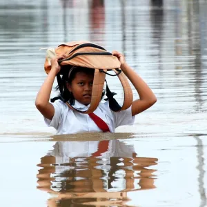 Vertige climatique : nous avons besoin d’une éco-politique moins anthropocentrée