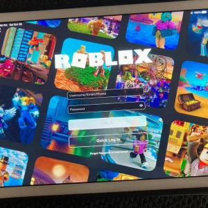 L’Egypte interdit la plateforme de jeux vidéo Roblox en invoquant la sécurité des enfants