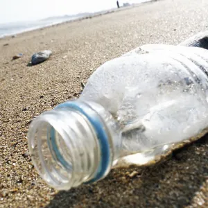 Quand une bactérie change le plastique en paracétamol