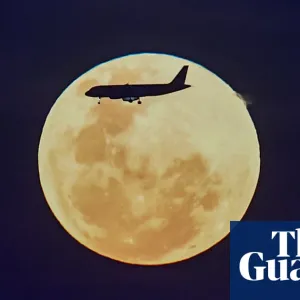 ‘Magical thinking’: hopes for sustainable jet fuel not realistic, report finds