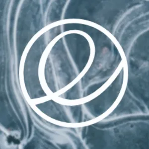 elementary OS 8 Released, This is What’s New