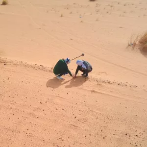 Le détecteur de métaux, la poêle aux œufs d’or du Sahara