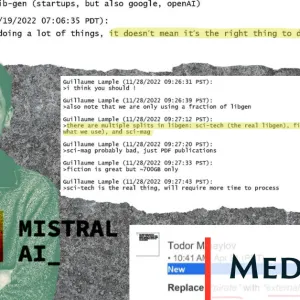 Comment un cofondateur de Mistral AI a piraté des millions de livres quand il travaillait chez Meta