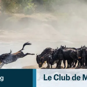 Pourquoi les médias devraient créer des serveurs Mastodon maintenant