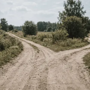 L'IA, les juniors et moi. Et si j'étais juste un vieux con ?