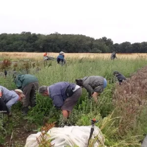 « Je suis venue pour apprendre sur le maraîchage et soigner mon sentiment d’impuissance »