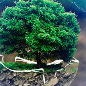 Comment évaluer les bénéfices nets des solutions d’IA pour l’environnement ? 