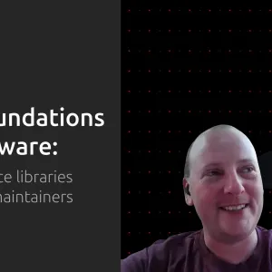The foundations of software: open source libraries and their maintainers