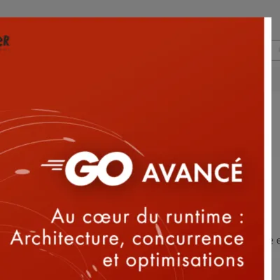 « Les assistants IA renforcent l’intérêt de connaître le langage » : ce livre dissèque le runtime de Go pour vous