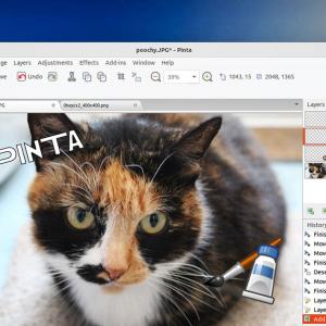 Pinta 2.1 Released with WebP Support, Wayland Tweaks + More