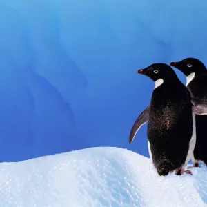 Logiciel libre : dix leçons à tirer de sa communauté et qui n'ont rien à voir avec la technologie