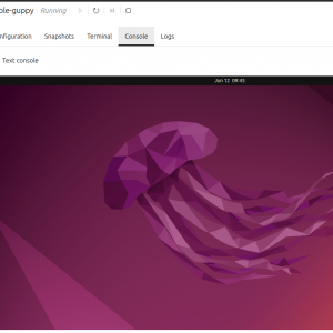 Early access to the LXD graphical user interface
