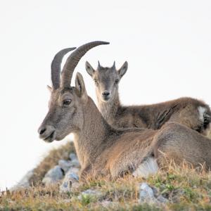 Histoire d’une photo #1 - Nicolas Tissot — Blog