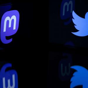 Dans le match Mastodon-Twitter, le mammouth va-t-il écraser l’oiseau ?