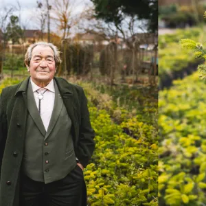 D'où viennent nos sapins de Noël ? Dans les coulisses d'une pépinière alsacienne