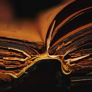 Les 10 commandements de l’ergonome IHM