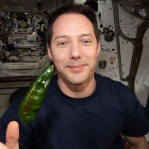 Les premiers tacos avec des piments de l’espace au menu de la Station spatiale internationale