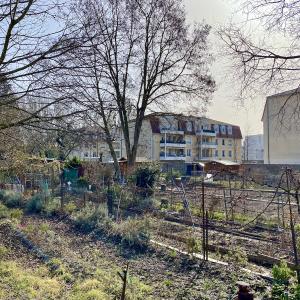 À Bischheim, des habitants s'unissent pour éviter qu'un promoteur détruise des jardins familiaux