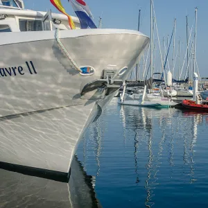 Permaculture, politique et décroissance. De retour du festival La Bascule au Havre.