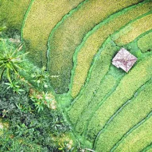 Innovons ensemble pour les agricultures de demain