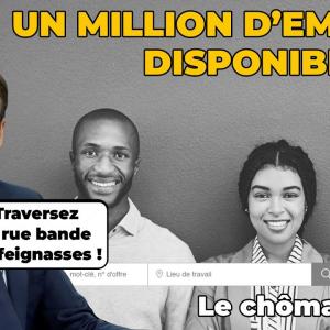 P'tit-Dèche #11 : Un million d'emplois disponibles !!! | Le chômage (2/3)