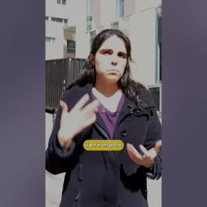 Un Google Maps du pollen, c'est possible ?