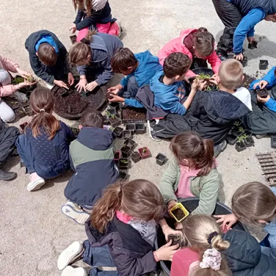 Le jardinage, un pilier de la classe dehors
