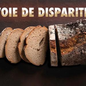 Pourquoi le pain est moins bon en été ?