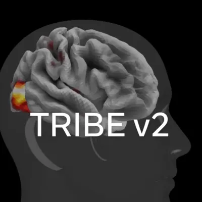 TRIBE v2 : le premier modèle d’IA capable de simuler votre cerveau