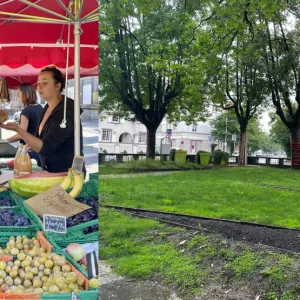 Bons produits et animations : dès cet été, un « marché hybride » animera le quartier Cronenbourg