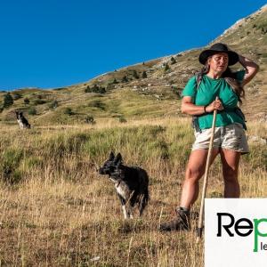 Ces bergères en lutte contre le sexisme en alpage