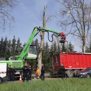 VIDÉO - Reprise de l'abattage des arbres et nouvelle garde à vue sur le chantier de l'A69