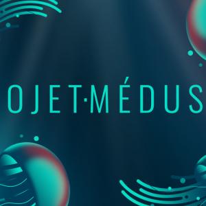 Débat 06 - Échelle de forme - Projet Méduses