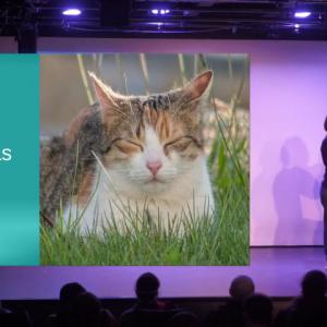 Justice sociale et environnementale : quelle place pour le numérique ? - Maiwann