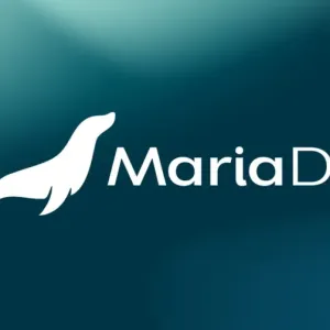 Au FOSDEM, MariaDB répond à Oracle : « Nous avons tracé le chemin que vous suivez maintenant »