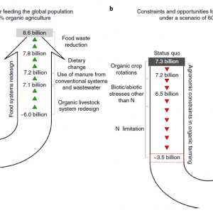 Sortir des engrais chimiques en 5 ans ? (Sandrine Rousseau)