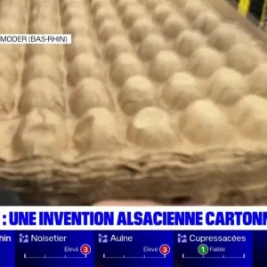 Naturalvi: la success story d'une entreprise alsacienne