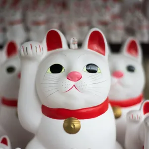 Shodo : Une grille de salaire publique pour toujours plus de transparence - SHODO